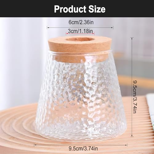 Desktop Plant Terrarium with Wood Lid, Glass Propagation Station D659