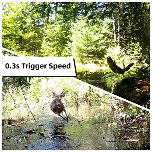 24MP 1080P Waterproof Trail Camera 2 Pack with Night Vision C411425