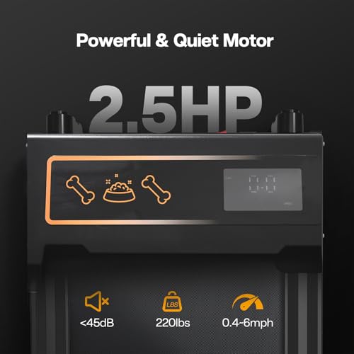 Dog Treadmill for Small and Medium Dogs with Remote Control and LCD Display H10038