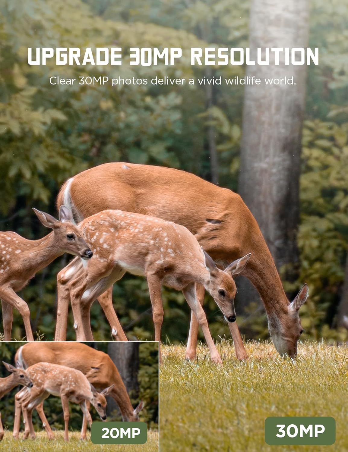 Trail Camera, 30MP 1080P, Night Vision, Motion Activated, IP66 Waterproof V49582