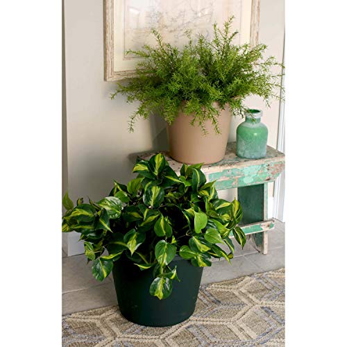 24 Inch Round Plastic Planter for Indoor Outdoor Plants A877