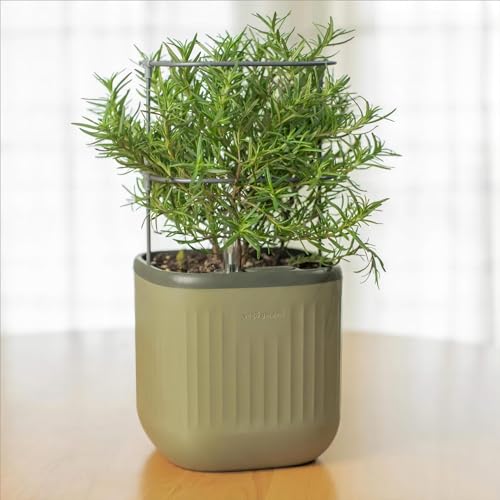 Indoor Mini Planter Pots with Trellis, Self-Watering for Herbs & Climbing Plants J477886