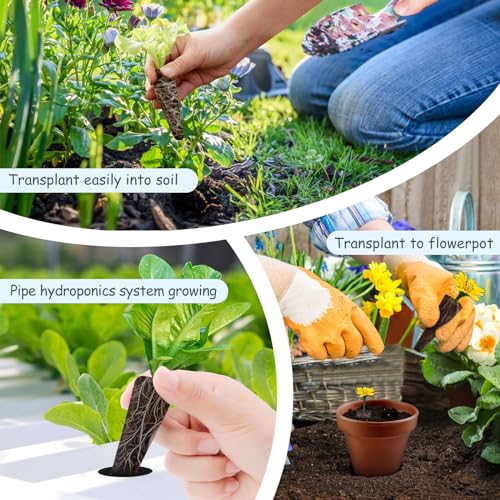 Seed Pod Kit for Hydroponics Indoor Garden Growing System Z73220